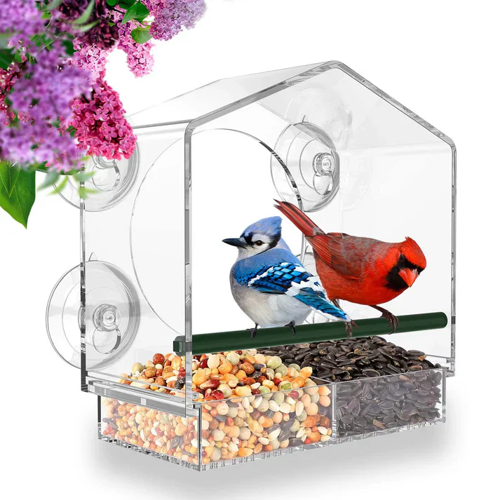 Miniatuur 1